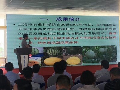 浦東第十二屆農民科技節開幕，初夏時節聚焦農業信息咨詢