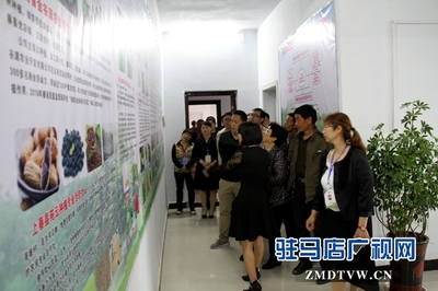 駐馬店市首個國家級'星創天地'在上蔡縣揭牌，助力農業信息咨詢與創新發展