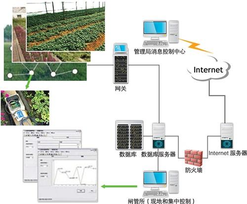廣西智慧農業物聯網攜手毛葡萄 共鋪脫貧致富路